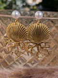 Coquillage chic